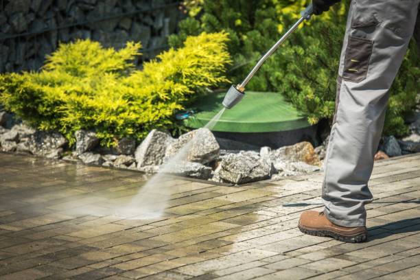 Best Residential Pressure Washing in Donna, TX