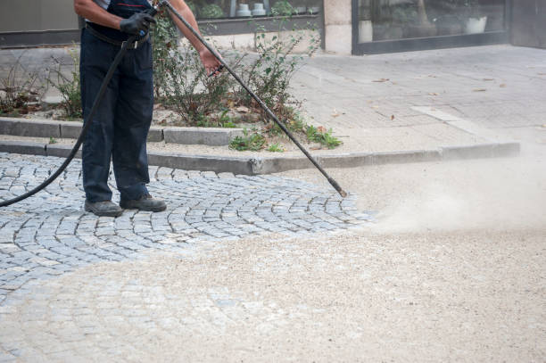 Best Fence Cleaning and Maintenance in Donna, TX