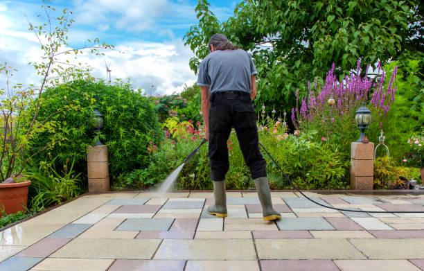 Donna, TX Pressure Washing Services Company