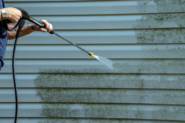 Best Vinyl Siding Pressure Washing in Donna, TX