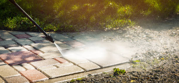 Best Gutter Cleaning and Brightening in Donna, TX